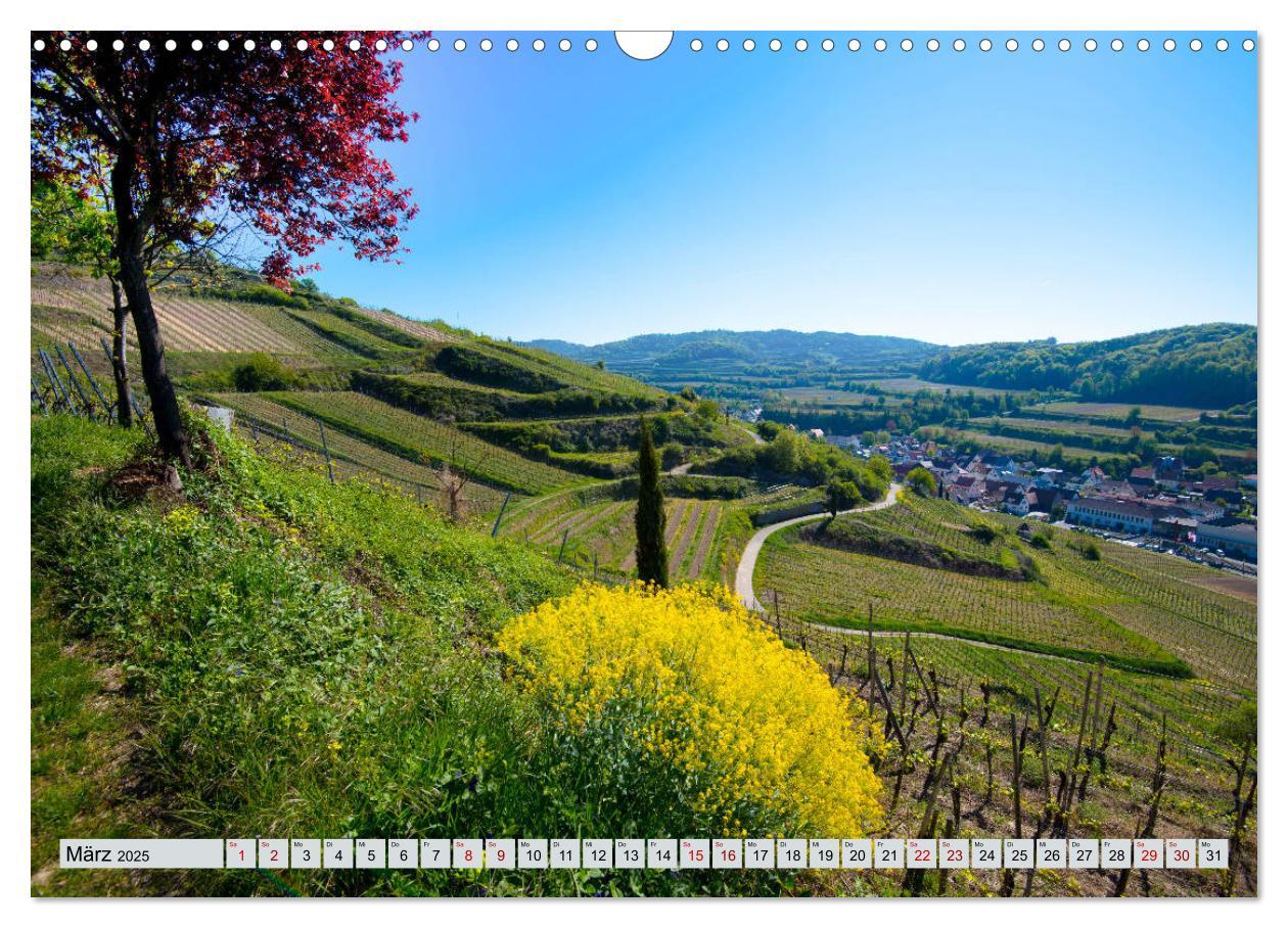 Bild: 9783435350377 | Weinregion Kaiserstuhl (Wandkalender 2025 DIN A3 quer), CALVENDO...