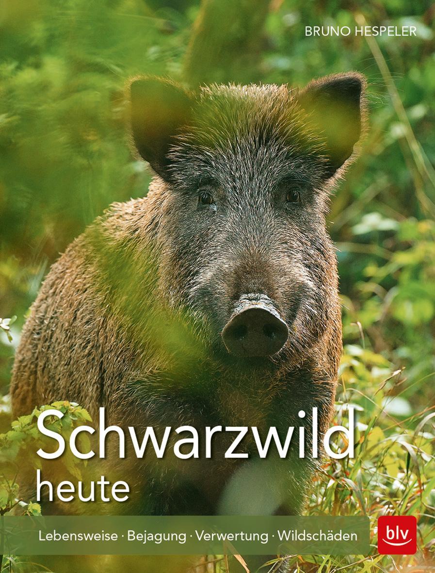 Cover: 9783835418028 | Schwarzwild heute | Lebensweise · Bejagung · Verwertung · Wildschäden
