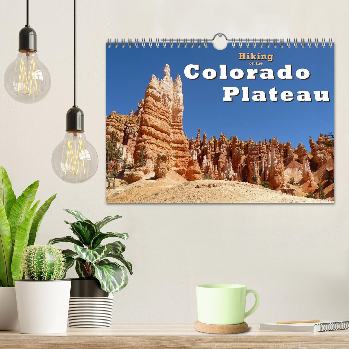 Bild: 9781325950676 | Hiking on the Colorado Plateau (Wall Calendar 2025 DIN A4...