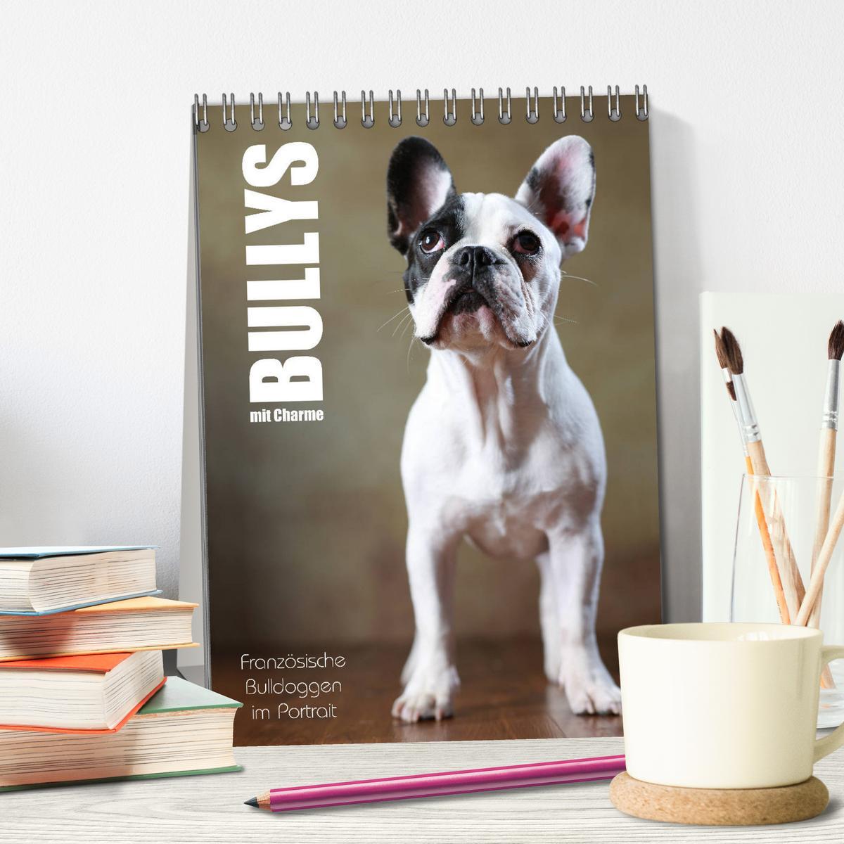 Bild: 9783435999040 | Bullys mit Charme - Französische Bulldoggen im Portrait...