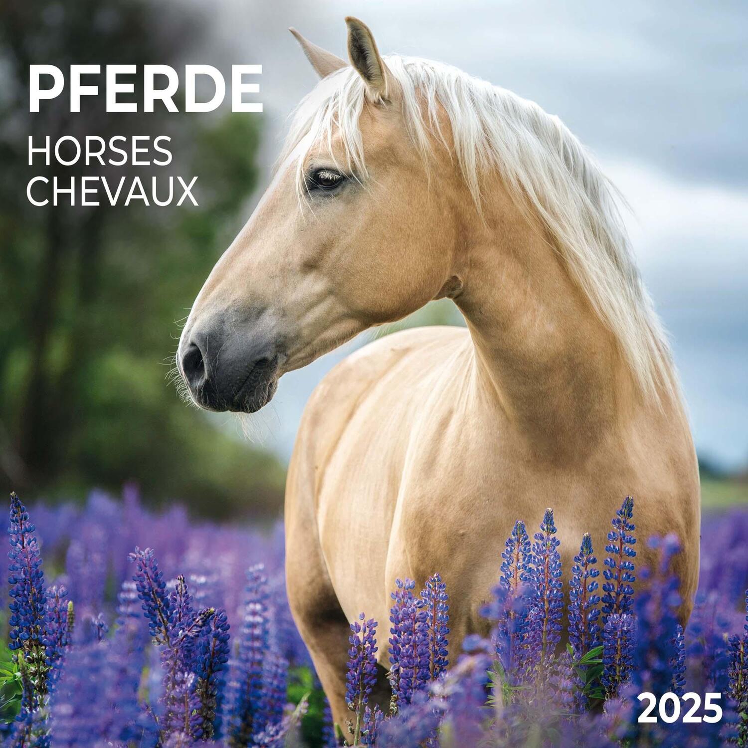 Cover: 9783959294546 | Horses/Pferde 2025 | Kalender 2025 | Kalender | Artwork Edition | 2025