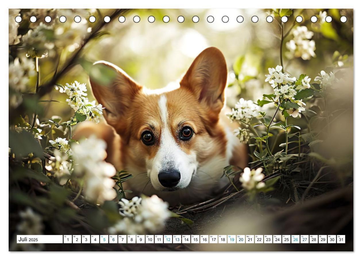 Bild: 9783383776137 | Happy Corgis (Tischkalender 2025 DIN A5 quer), CALVENDO Monatskalender