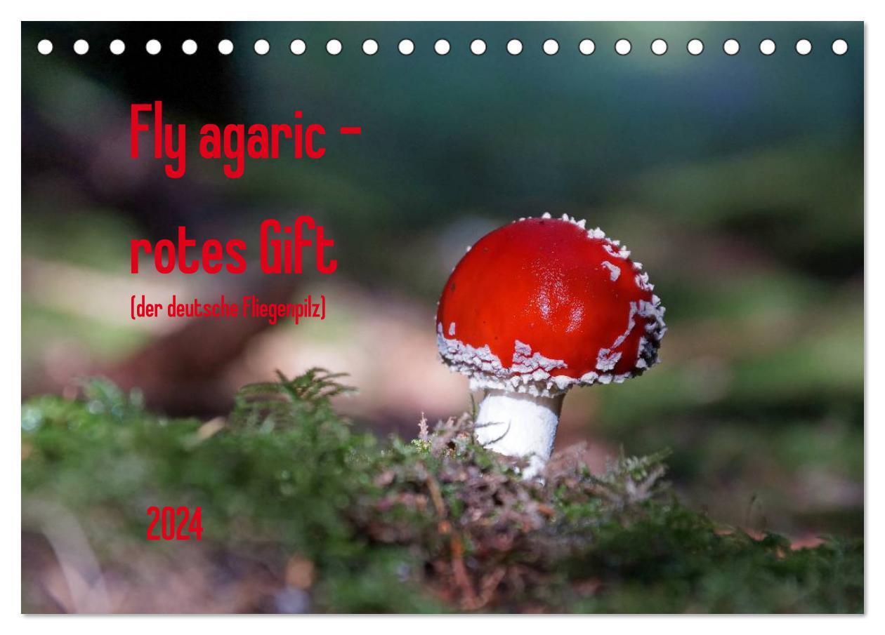 Cover: 9783383564062 | Fly agaric - rotes Gift (Tischkalender 2024 DIN A5 quer), CALVENDO...