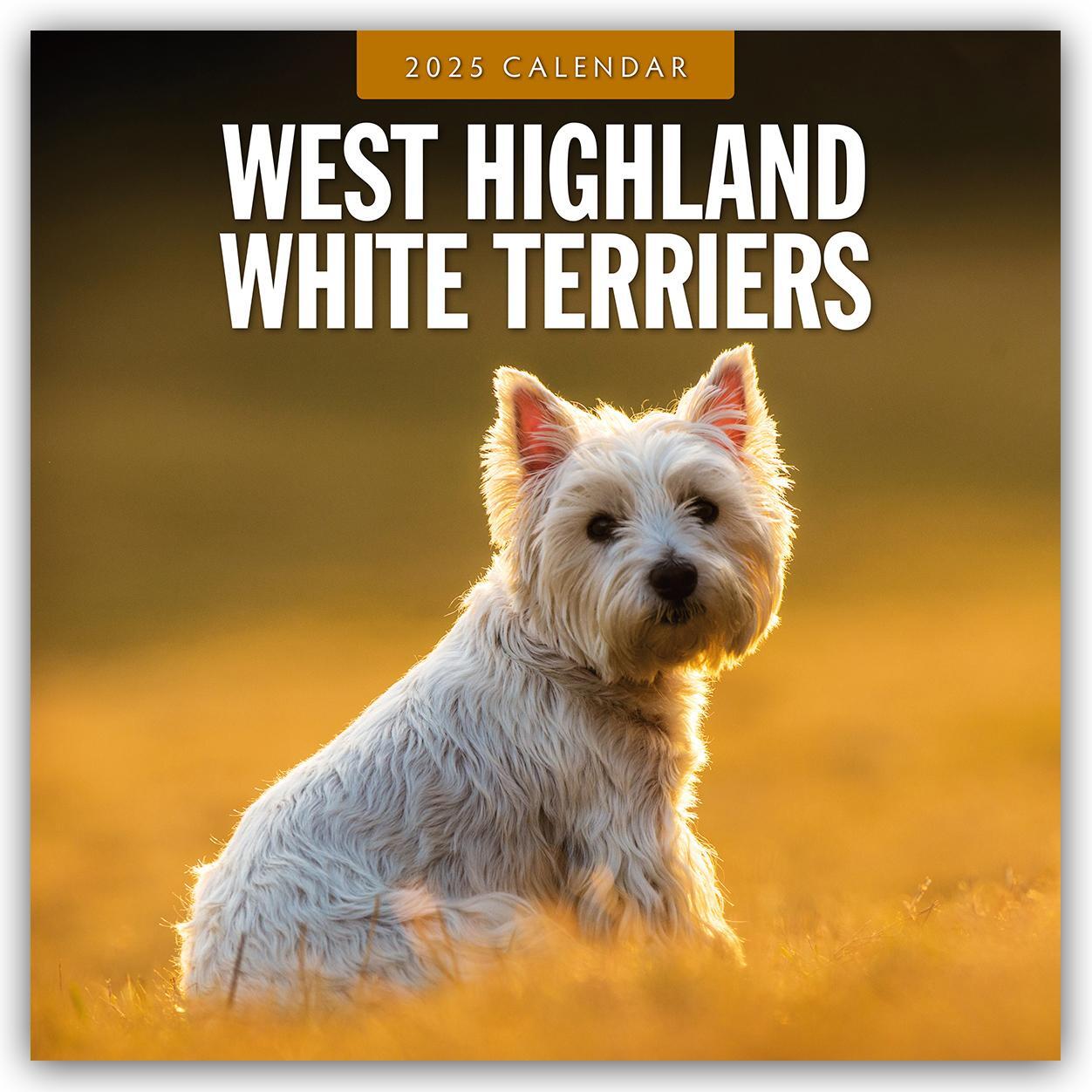 Cover: 9781804425220 | West Highland White Terriers - West Highland White Terrier - Westie...