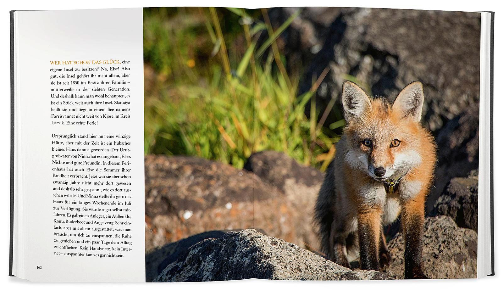 Bild: 9783426214527 | Ayla - meine ungewöhnliche Freundschaft mit einem jungen Fuchs | Buch