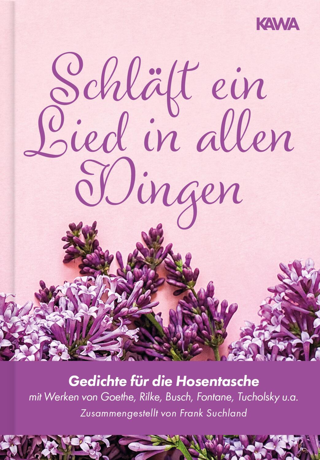 Cover: 9783961113996 | Schläft ein Lied in allen Dingen | Johann Wolfgang Goethe (u. a.)