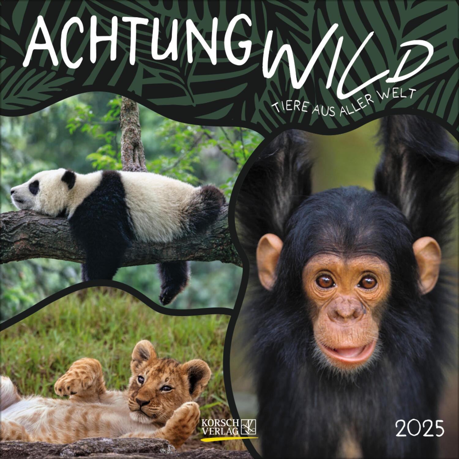 Cover: 9783731880226 | Achtung wild - Tiere aus aller Welt 2025 | Verlag Korsch | Kalender