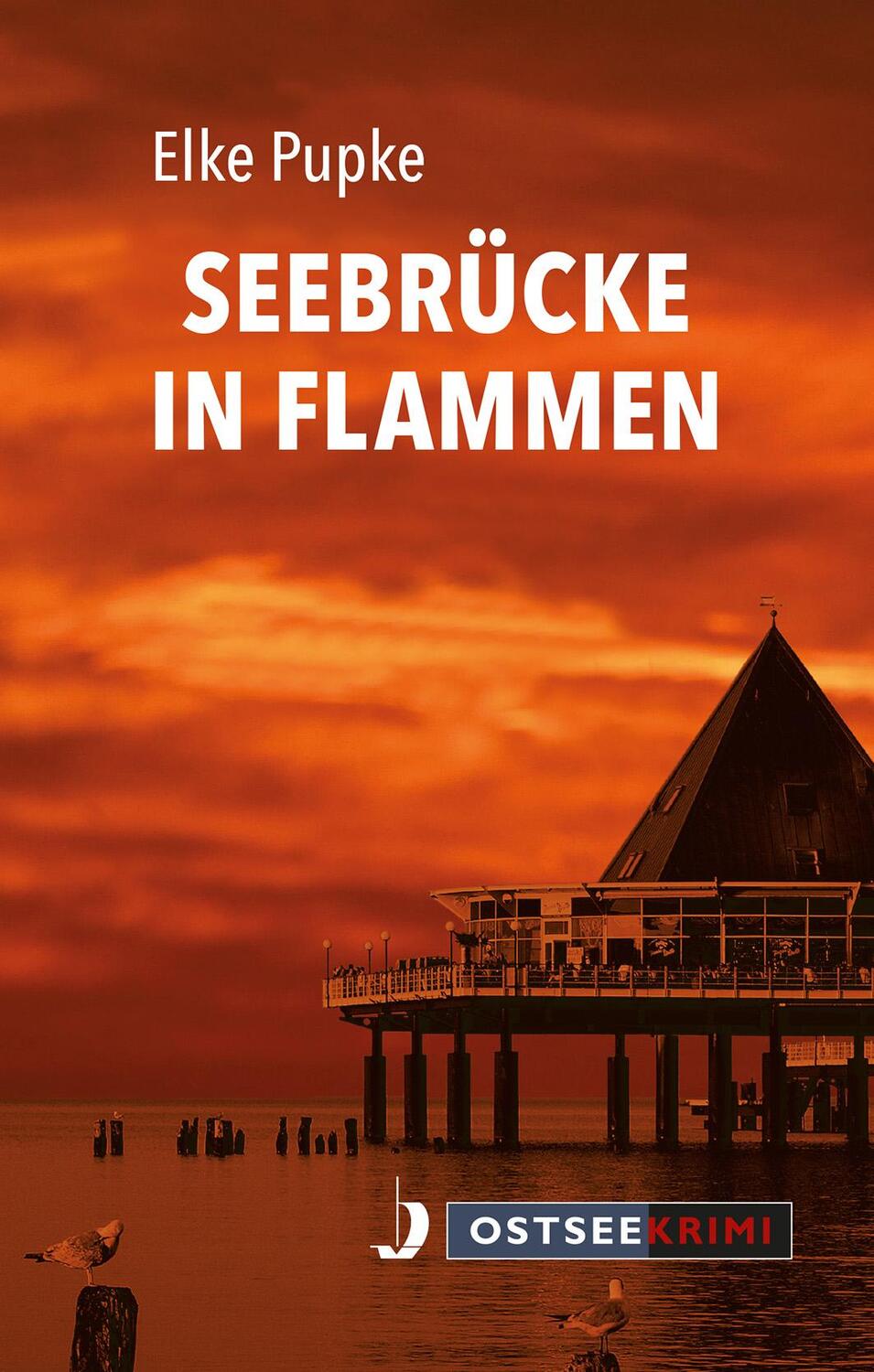 Cover: 9783356020915 | Seebrücke in Flammen | Elke Pupke | Taschenbuch | Ostseekrimi | 2017