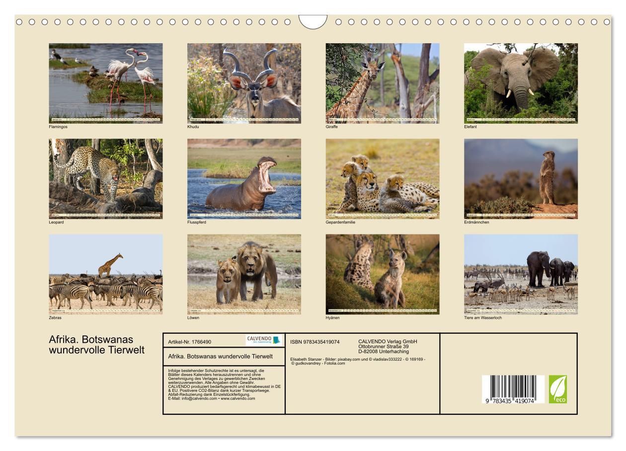 Bild: 9783435419074 | Afrika. Botswanas wundervolle Tierwelt (Wandkalender 2025 DIN A3...