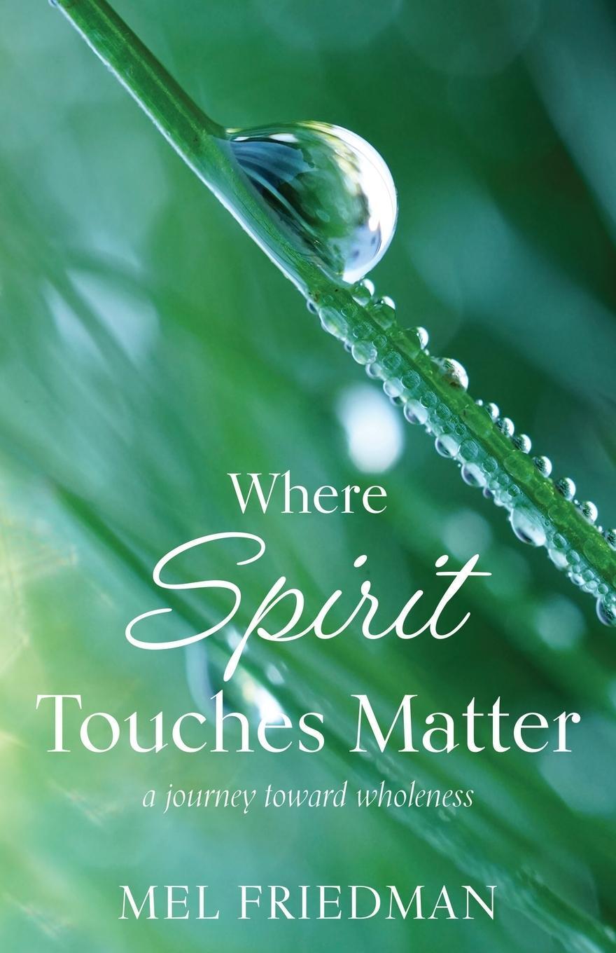 Cover: 9781611534238 | Where Spirit Touches Matter | a journey toward wholeness | Friedman