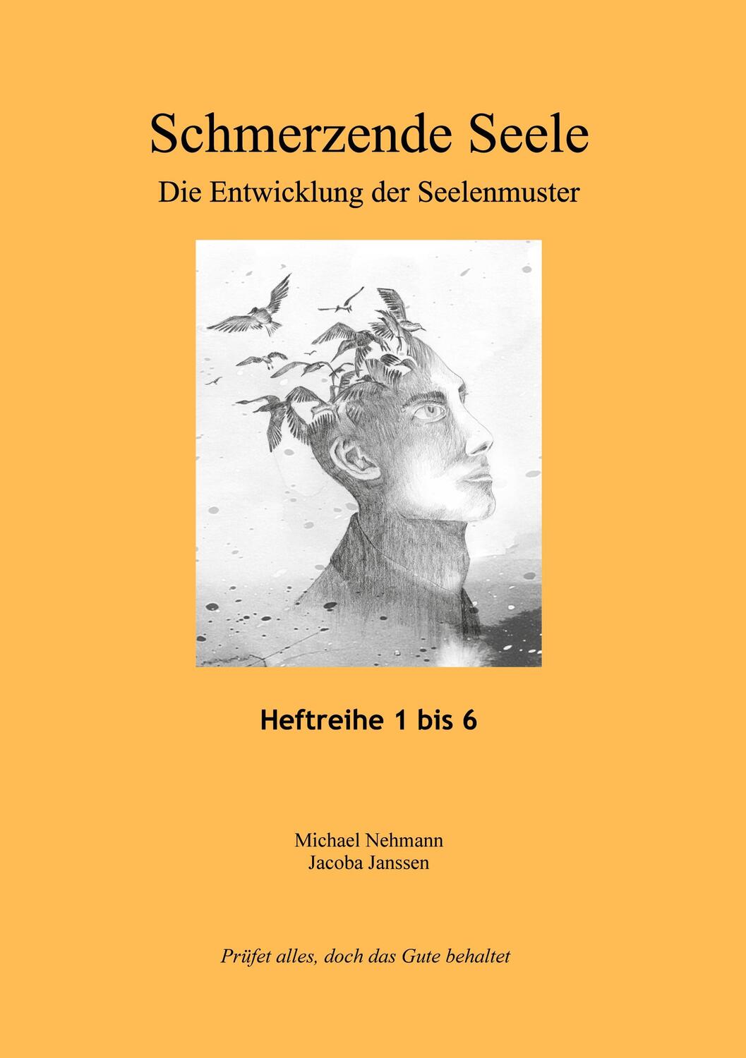 Cover: 9783734702440 | Schmerzende Seele | Die Entwicklung der Seelenmuster | Nehmann (u. a.)