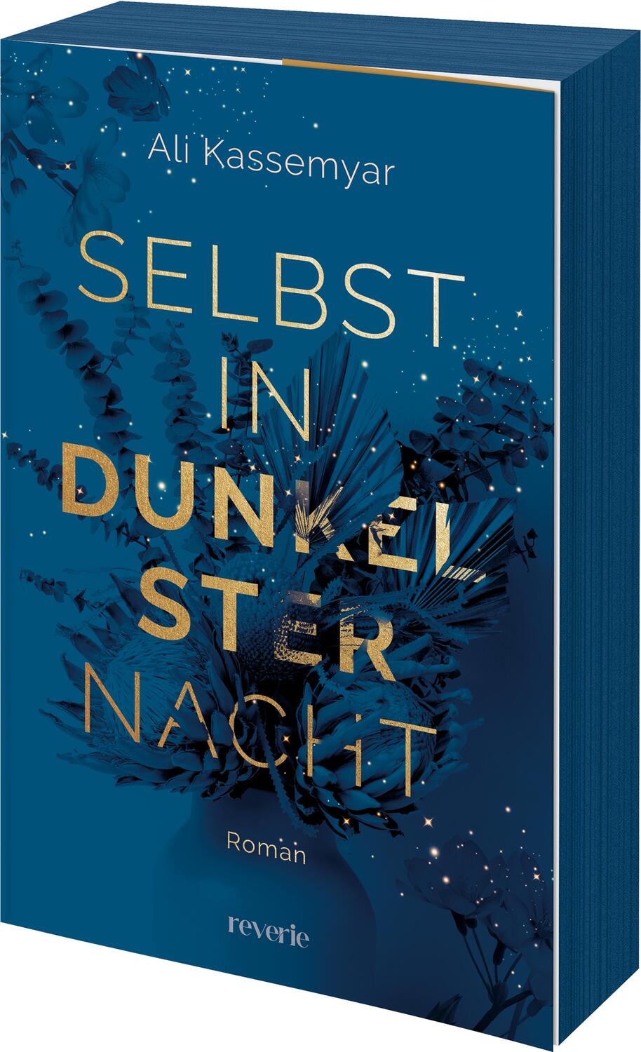 Cover: 9783745704105 | Selbst in dunkelster Nacht | Roman | Ali Kassemyar | Taschenbuch