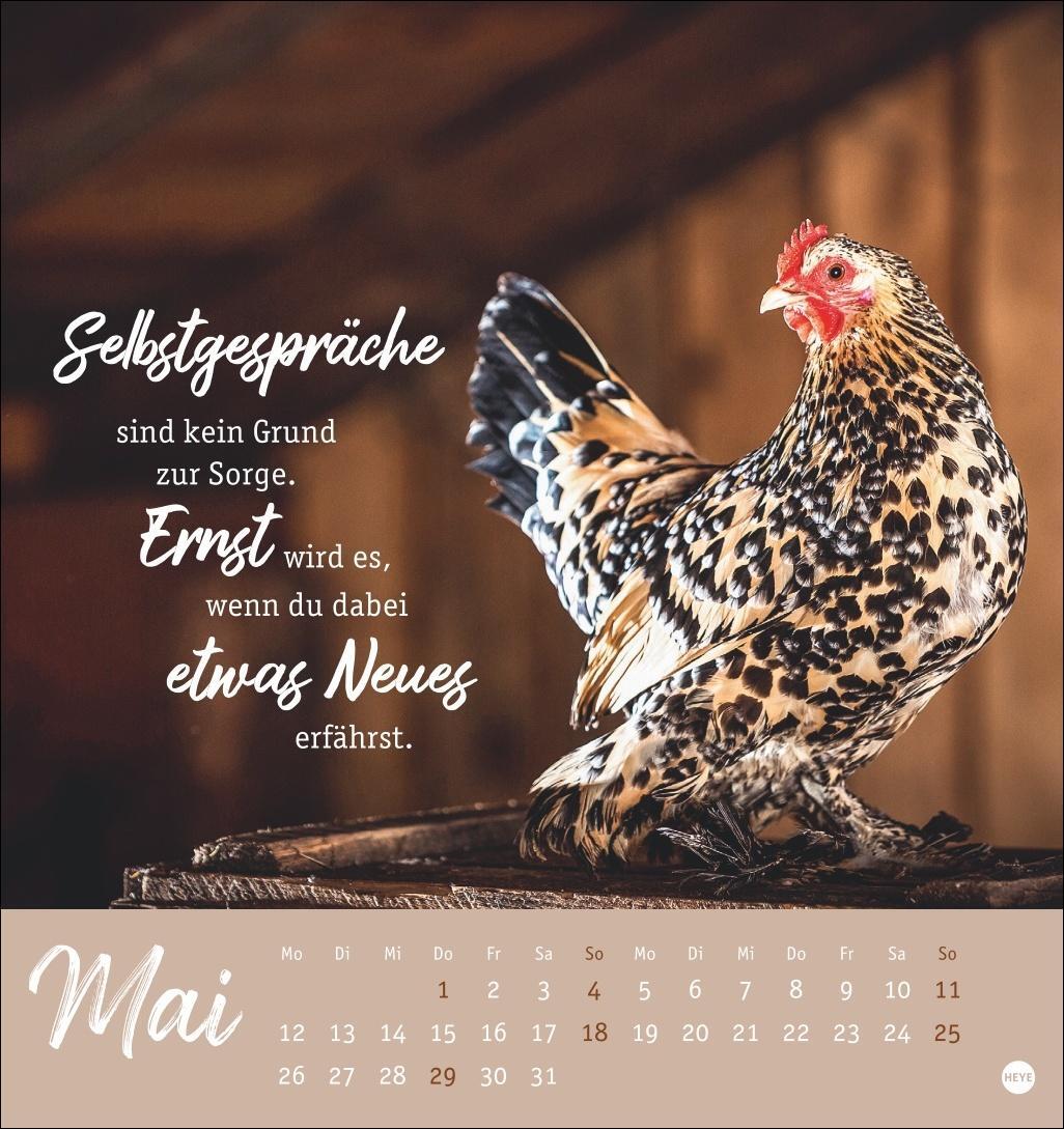 Bild: 9783756408573 | Hühner Postkartenkalender 2025 - Ach, du verrücktes Huhn! | Kalender