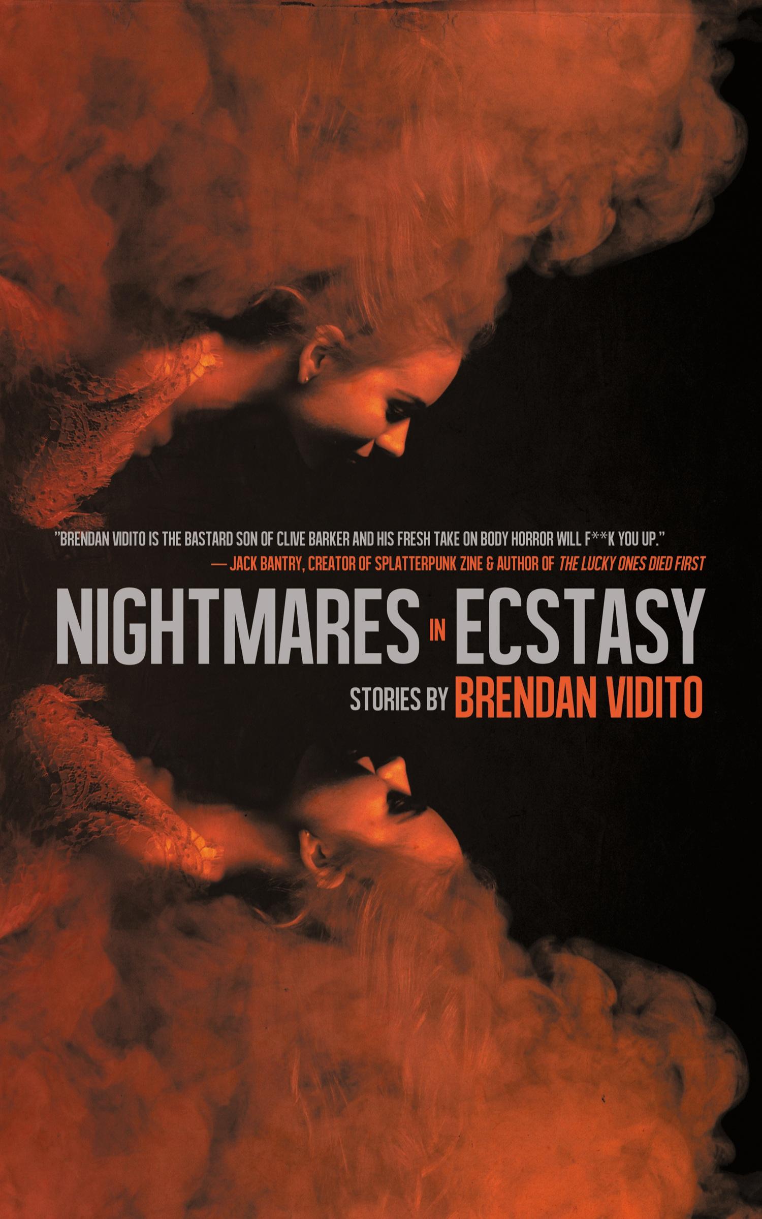 Cover: 9781944866235 | Nightmares in Ecstacy | Brendan Vidito | Taschenbuch | Englisch | 2018