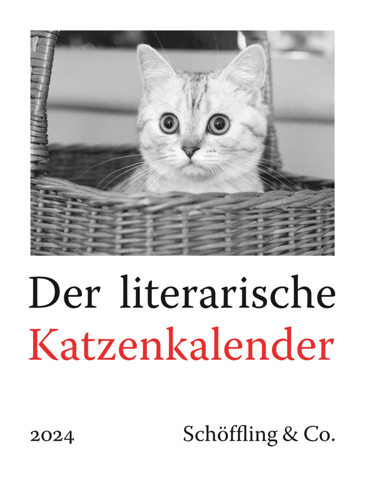 Cover: 9783895617584 | Der literarische Katzenkalender 2024 | Julia Bachstein | Kalender