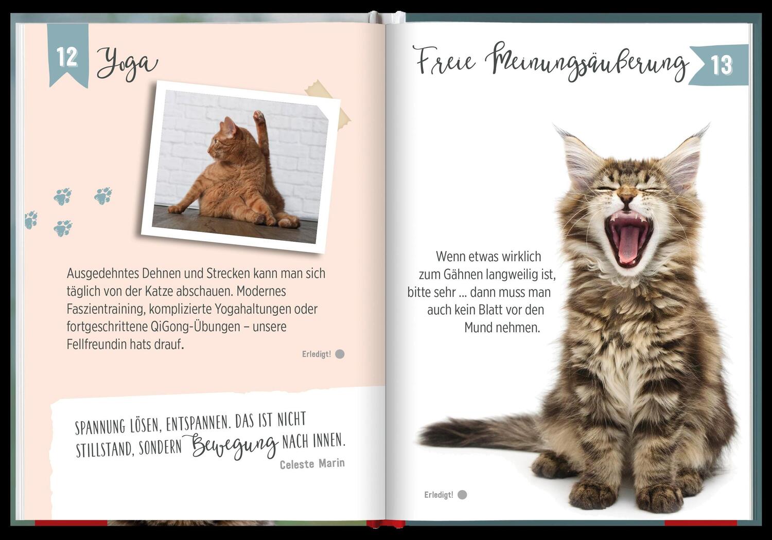 Bild: 9783848523252 | 100 Dinge, die man von einer Katze lernen kann | Groh Redaktionsteam