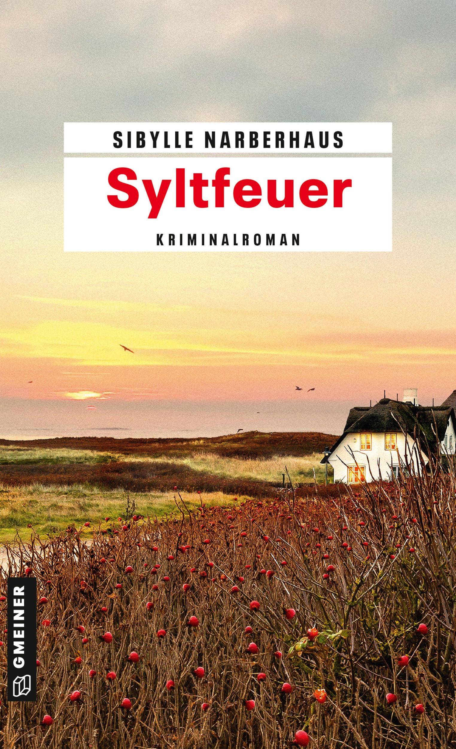 Cover: 9783839225073 | Syltfeuer | Kriminalroman | Sibylle Narberhaus | Taschenbuch | 374 S.