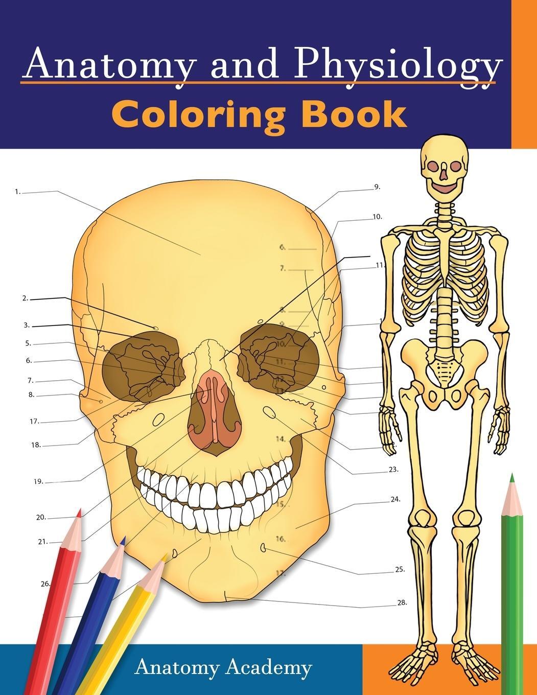 Cover: 9781914207044 | Anatomy and Physiology Coloring Book | Anatomy Academy | Taschenbuch