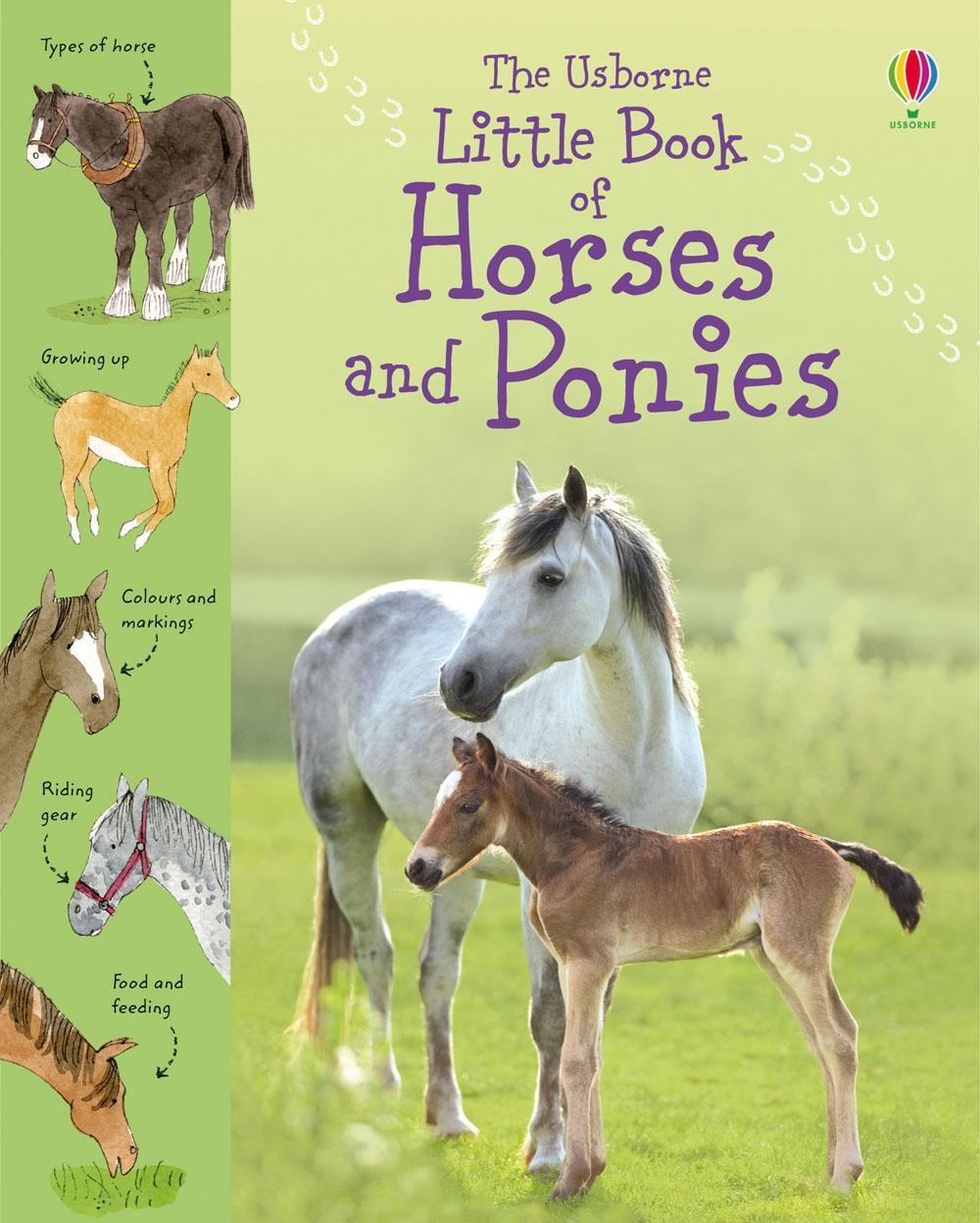 Cover: 9781409508694 | Little Book of Horses and Ponies | Sarah Khan | Buch | Little Books