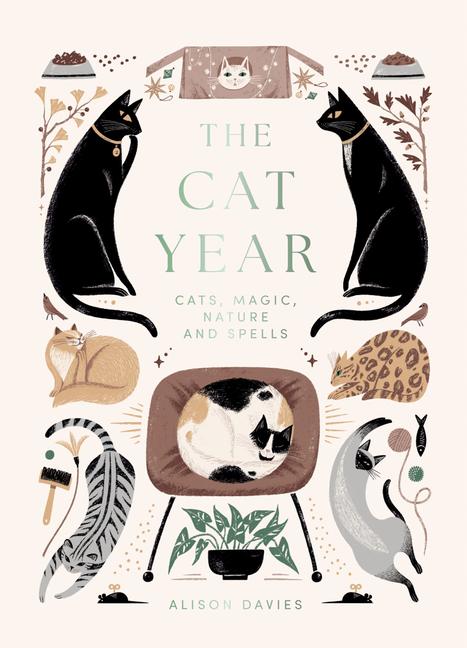 Cover: 9781837831371 | The Cat Year | Cats, Magic, Nature and Spells | Alison Davies | Buch