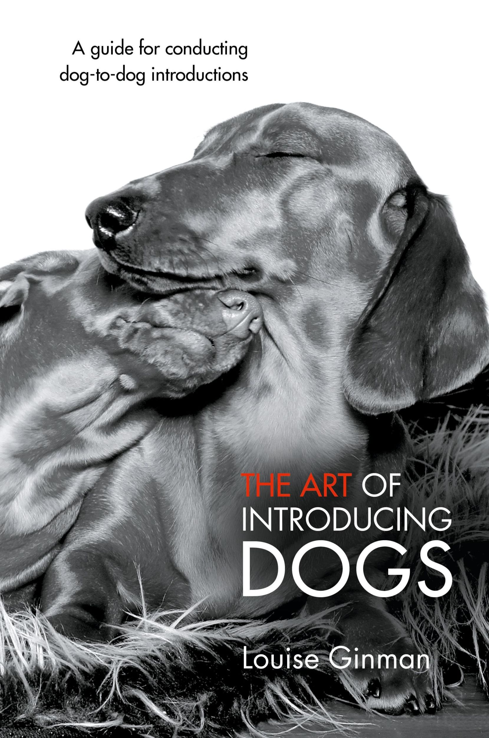 Cover: 9781452510095 | The Art of Introducing Dogs | Louise Ginman | Taschenbuch | Englisch