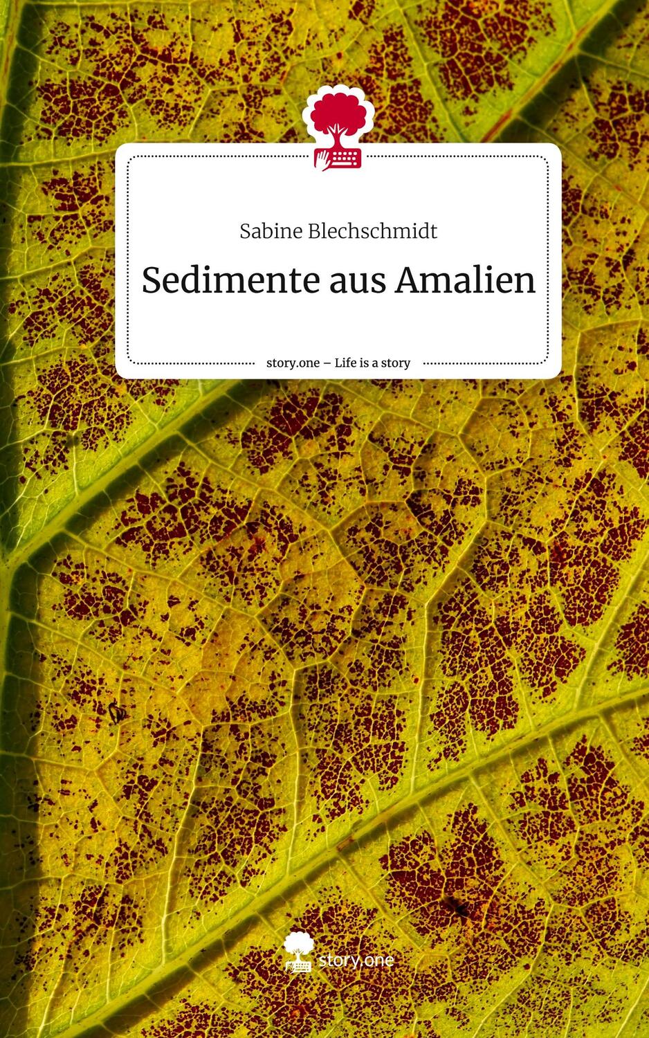 Cover: 9783711513823 | Sedimente aus Amalien. Life is a Story - story.one | Blechschmidt