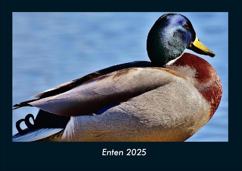 Cover: 9783755990550 | Enten 2025 Fotokalender DIN A4 | Tobias Becker | Kalender | Kalender