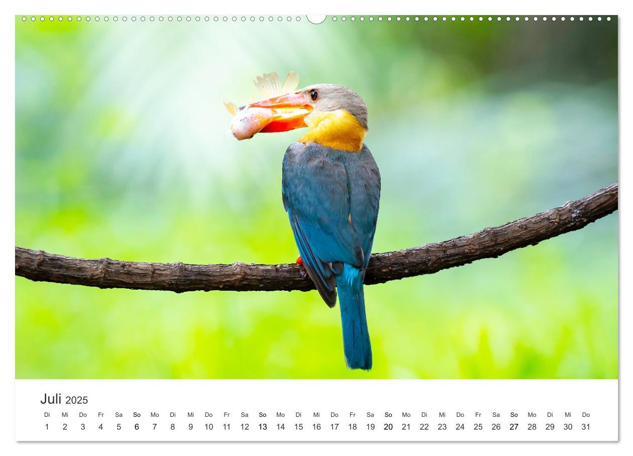 Bild: 9783435040766 | Vogelwelt - Die Könige der Lüfte. (Wandkalender 2025 DIN A2 quer),...