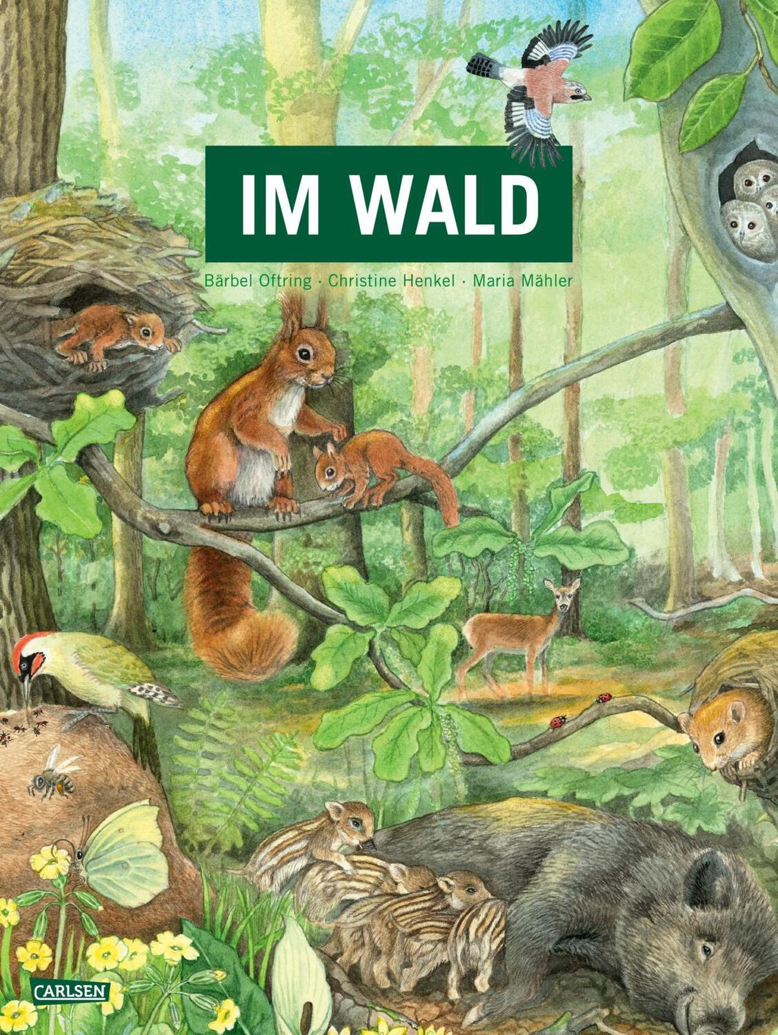 Cover: 9783551254610 | Im Wald | Bärbel Oftring | Buch | 18 S. | Deutsch | 2022 | Carlsen
