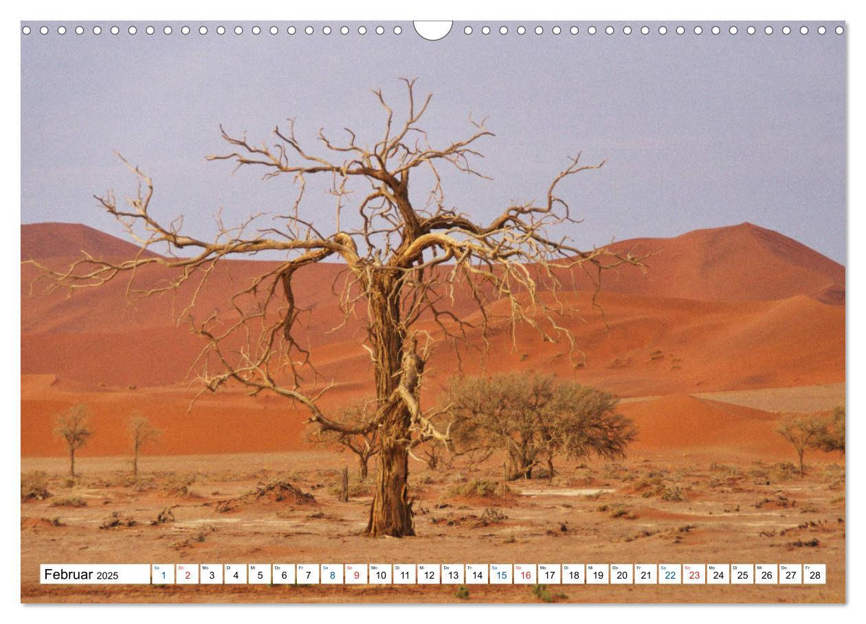 Bild: 9783435221950 | Namibia, Faszination Wüste und Tierwelt (Wandkalender 2025 DIN A3...