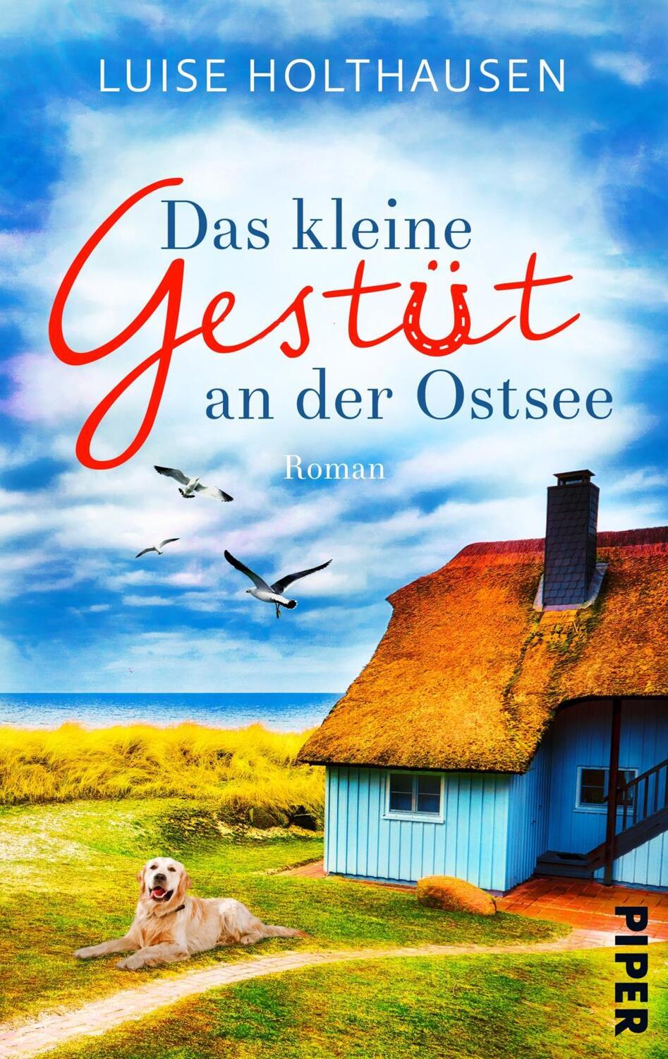 Cover: 9783492506670 | Das kleine Gestüt an der Ostsee | Luise Holthausen | Taschenbuch