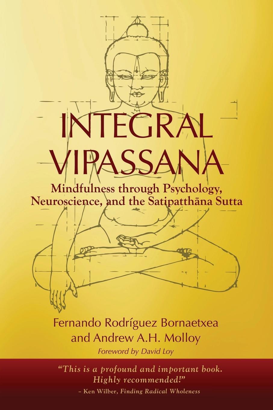 Cover: 9798987920350 | Integral Vipassana | Fernando Rodríguez Bornaetxea (u. a.) | Buch