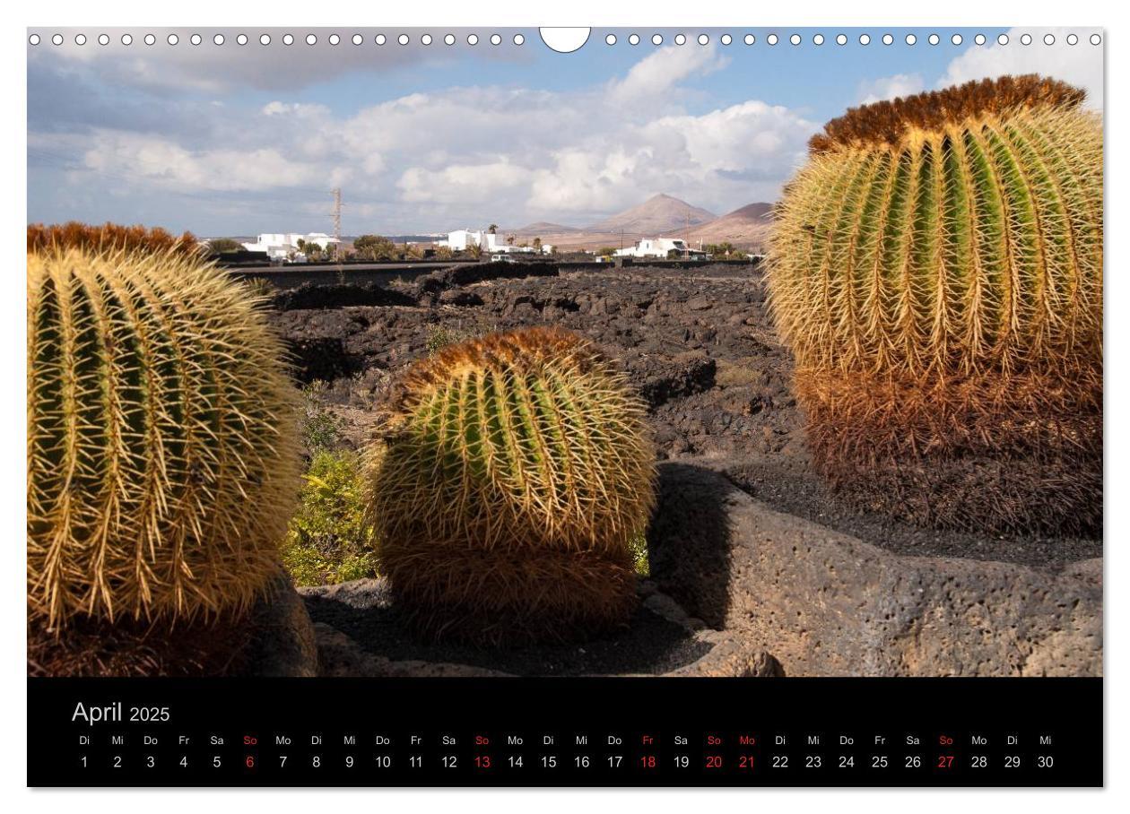 Bild: 9783435721221 | Unterwegs auf Lanzarote (Wandkalender 2025 DIN A3 quer), CALVENDO...