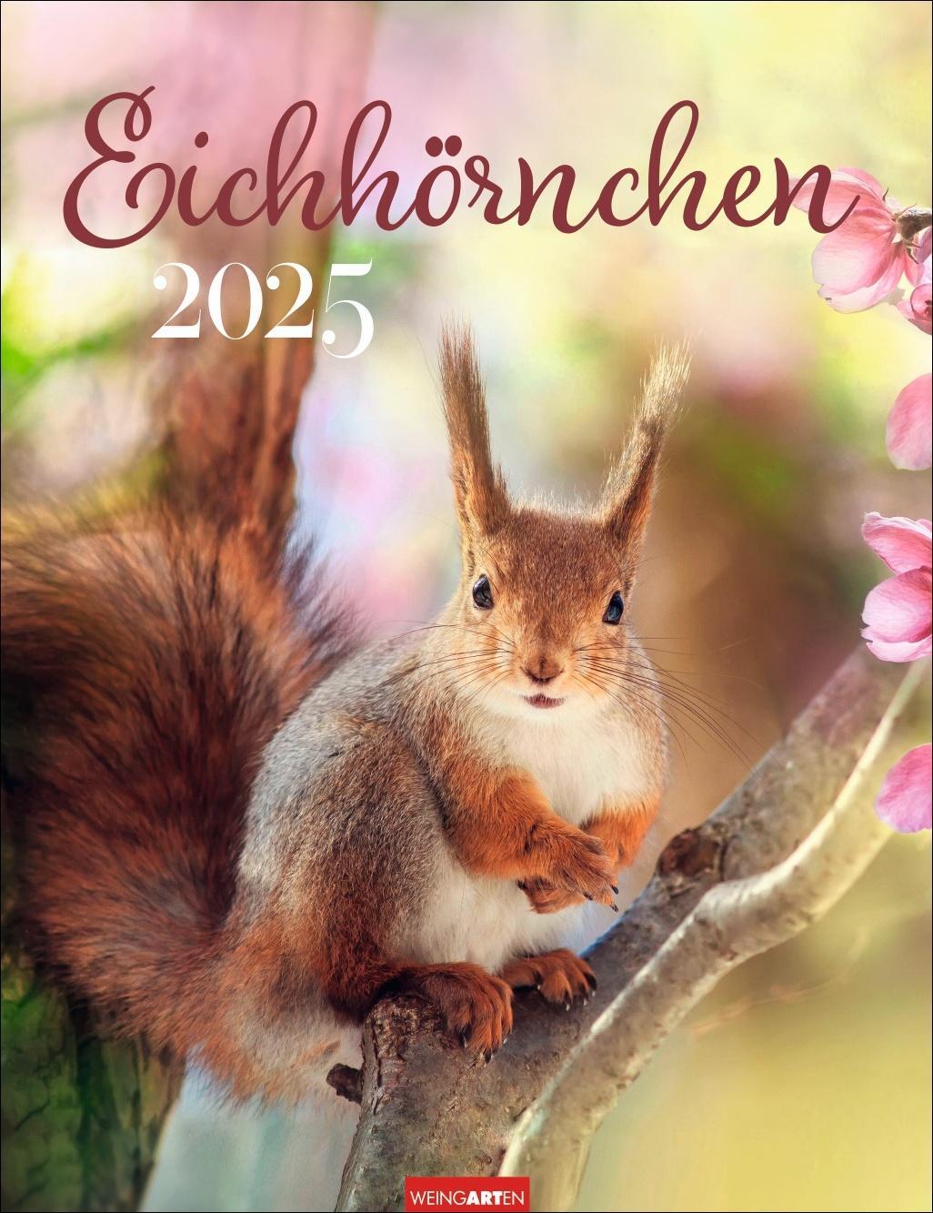 Cover: 9783839900758 | Eichhörnchen Kalender 2025 | Kalender | Spiralbindung | 14 S. | 2025