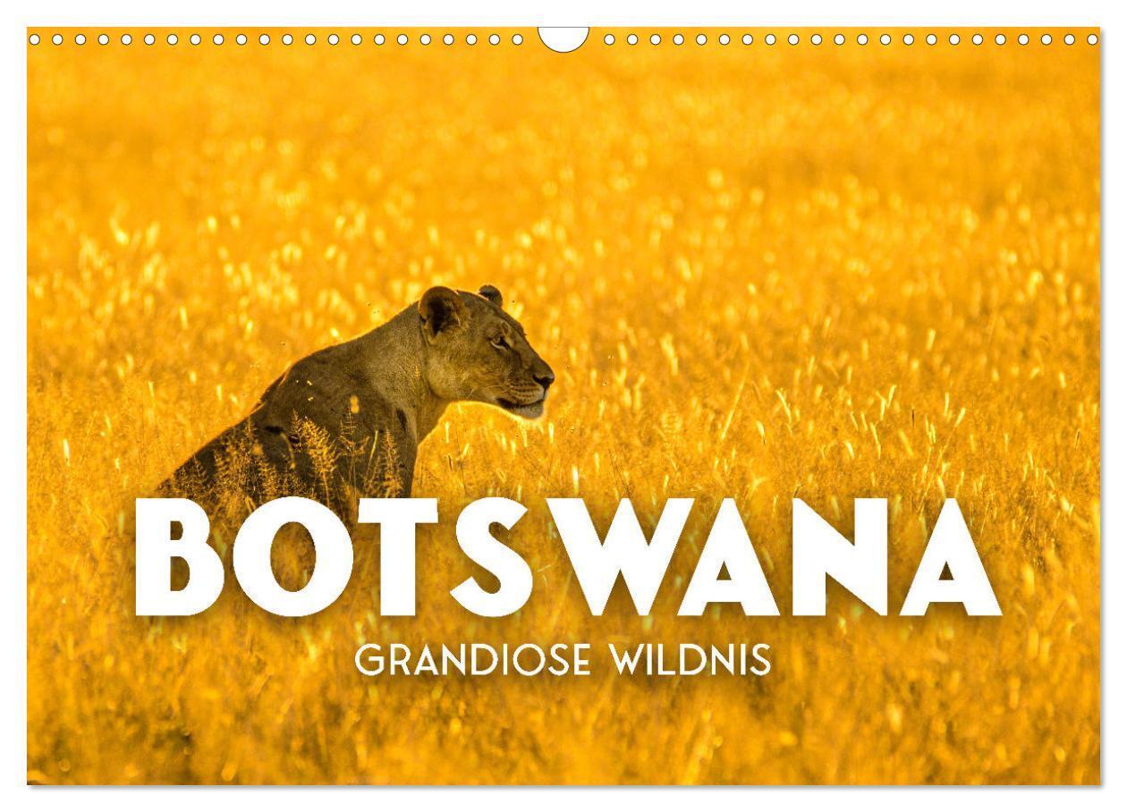 Cover: 9783383957031 | Botswana - Grandiose Wildnis (Wandkalender 2025 DIN A3 quer),...