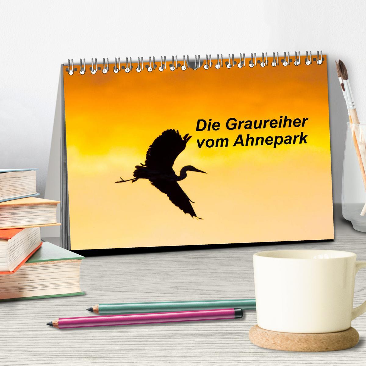 Bild: 9783435175451 | Die Graureiher vom Ahnepark (Tischkalender 2025 DIN A5 quer),...