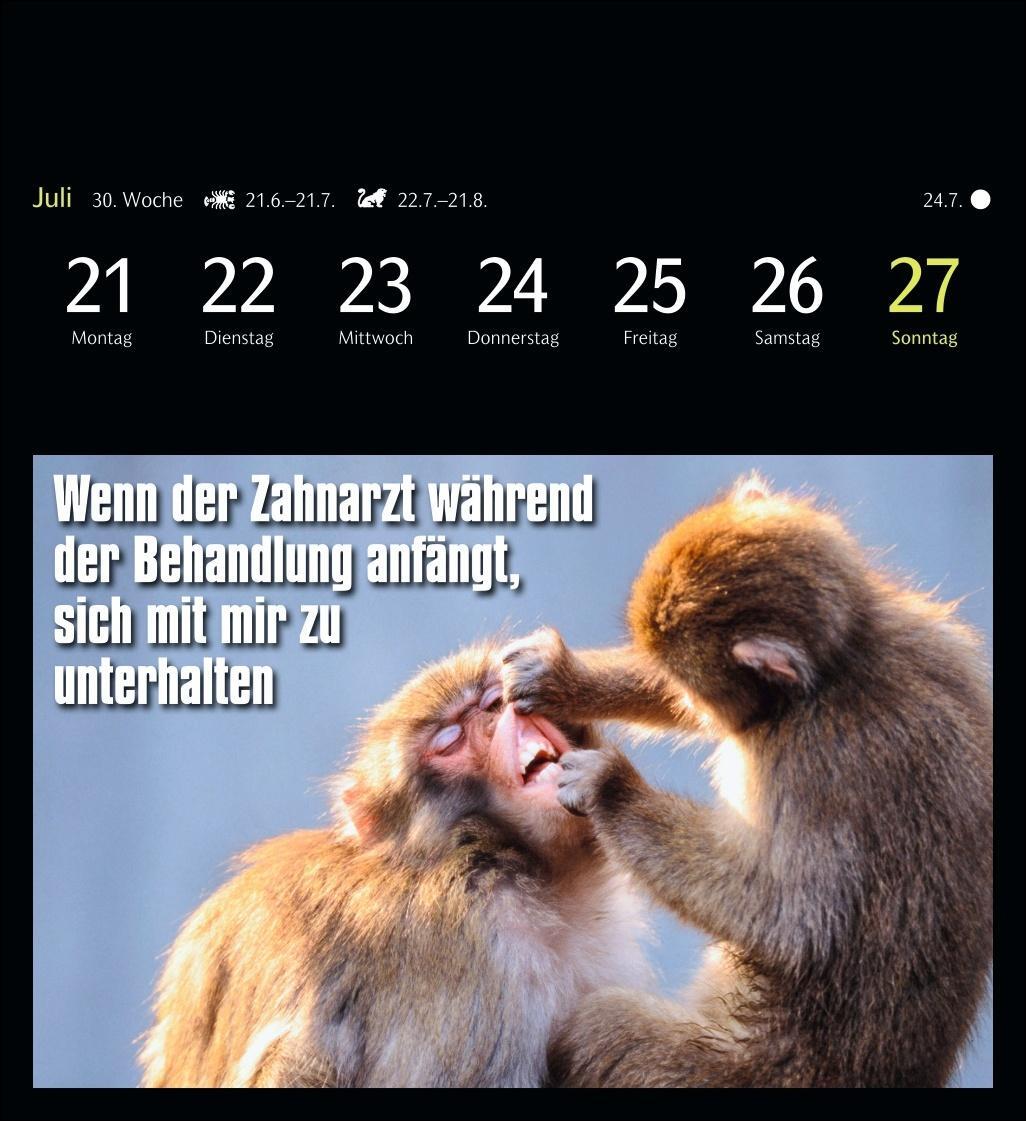 Bild: 9783840035012 | Animal Memes Postkartenkalender 2025 - 53 tierisch witzige Postkarten