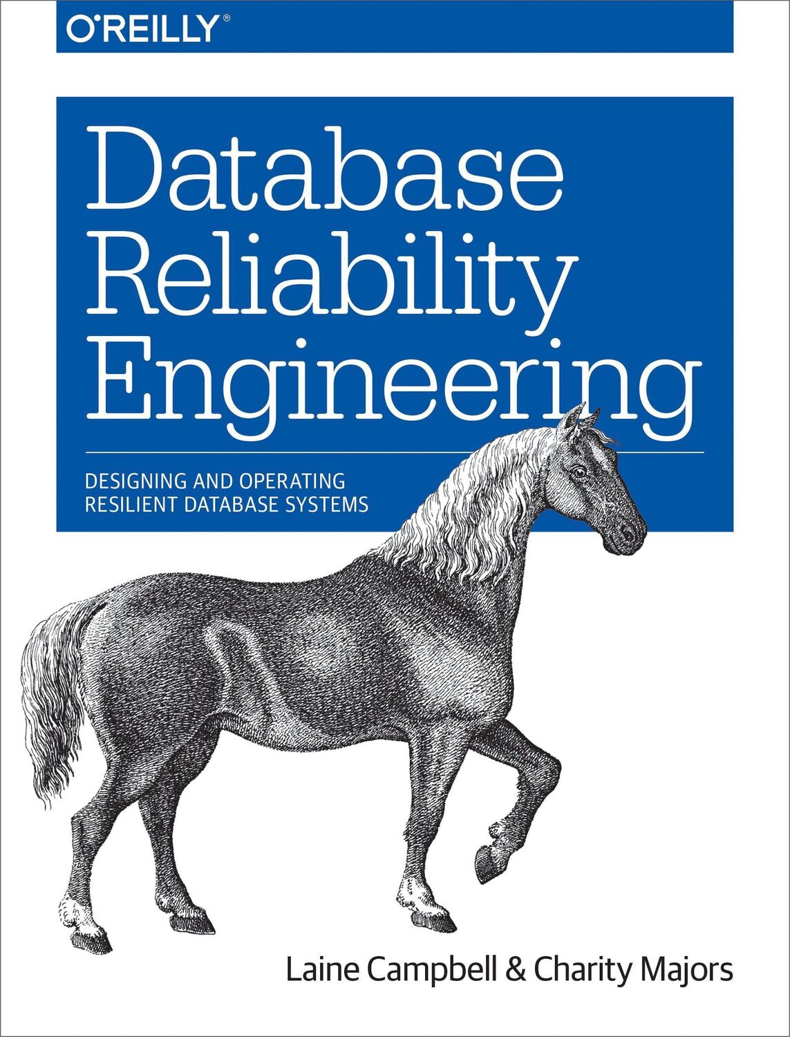 Cover: 9781491925942 | Database Reliability Engineering | Charity Majors (u. a.) | Buch