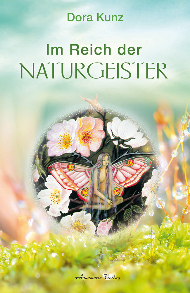 Cover: 9783894271893 | Im Reich der Naturgeister | Dora Kunz | Taschenbuch | Deutsch | 2002