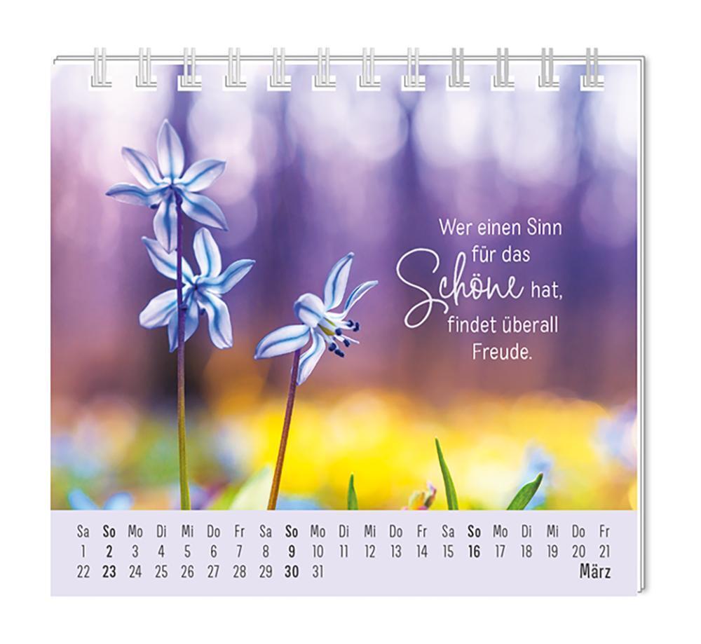 Bild: 9783986361075 | Mini-Kalender 2025 Eine Extraportion Glück für dich! | Mini-Kalender