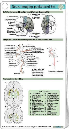 Cover: 9783898624411 | Neuro Imaging pocketcard Set | Sebastian von Stuckrad-Barre (u. a.)