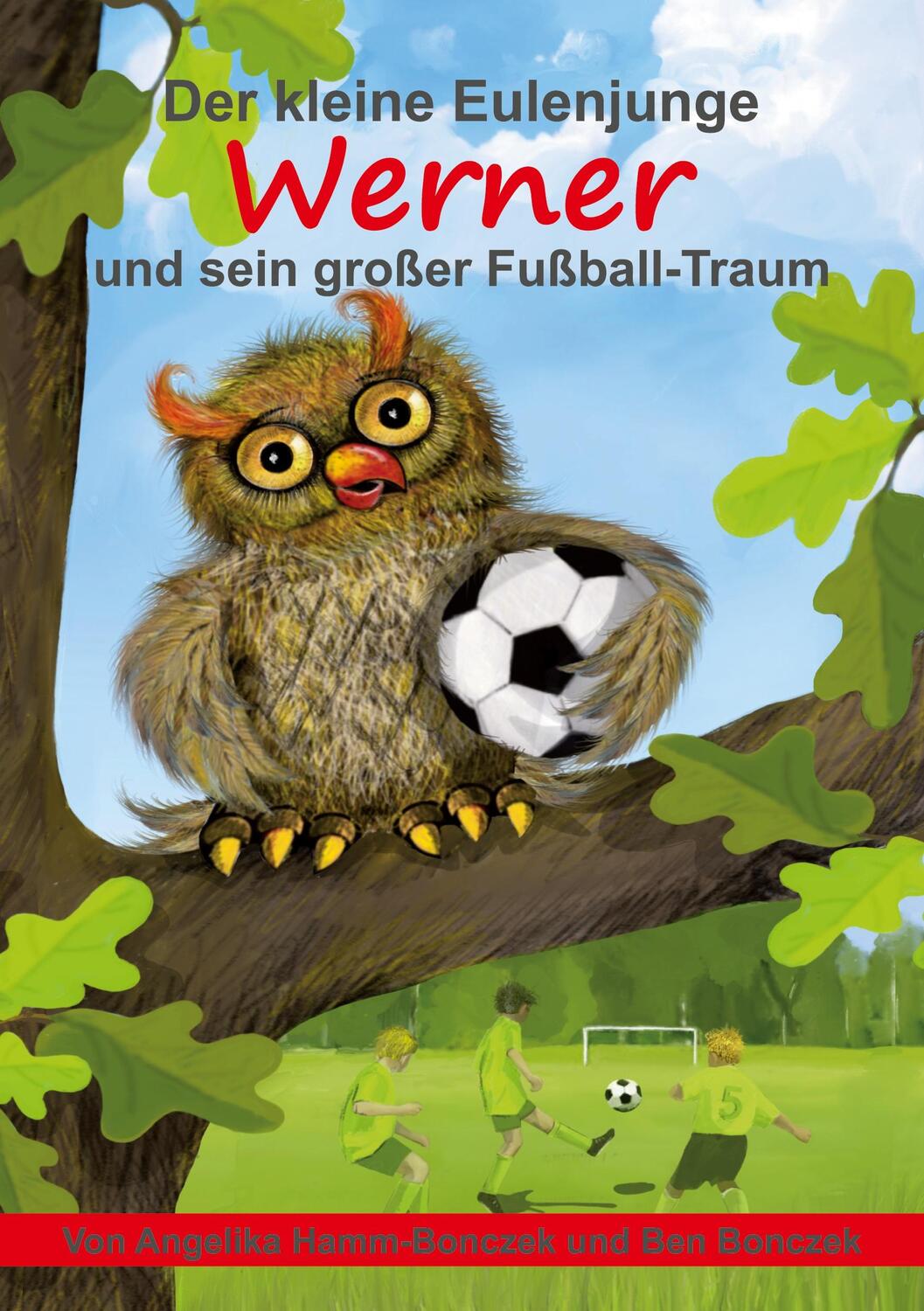 Cover: 9783347321458 | Der kleine Eulenjunge Werner und sein großer Fußball-Traum | Buch
