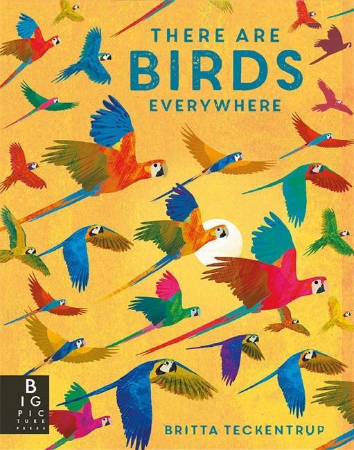 Cover: 9781787417175 | There are Birds Everywhere | Camilla De La Bedoyere | Buch | Sago Mini