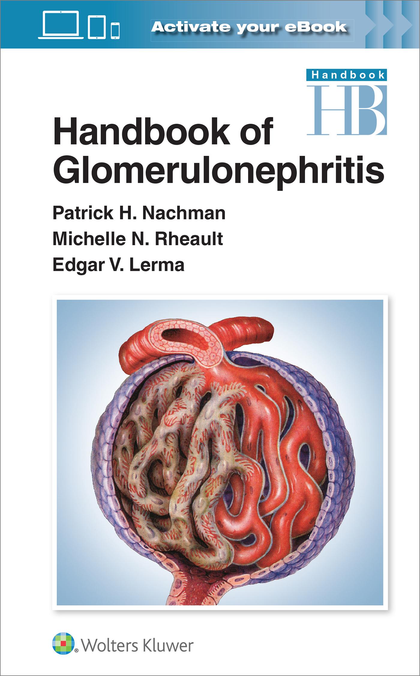 Cover: 9781975191061 | Handbook of Glomerulonephritis | Edgar Lerma (u. a.) | Taschenbuch