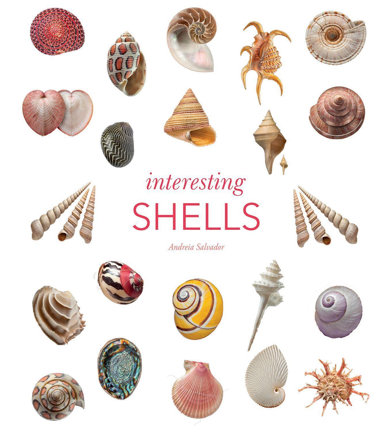 Cover: 9780565095109 | Interesting Shells | Andreia Salvador | Buch | Englisch | 2022