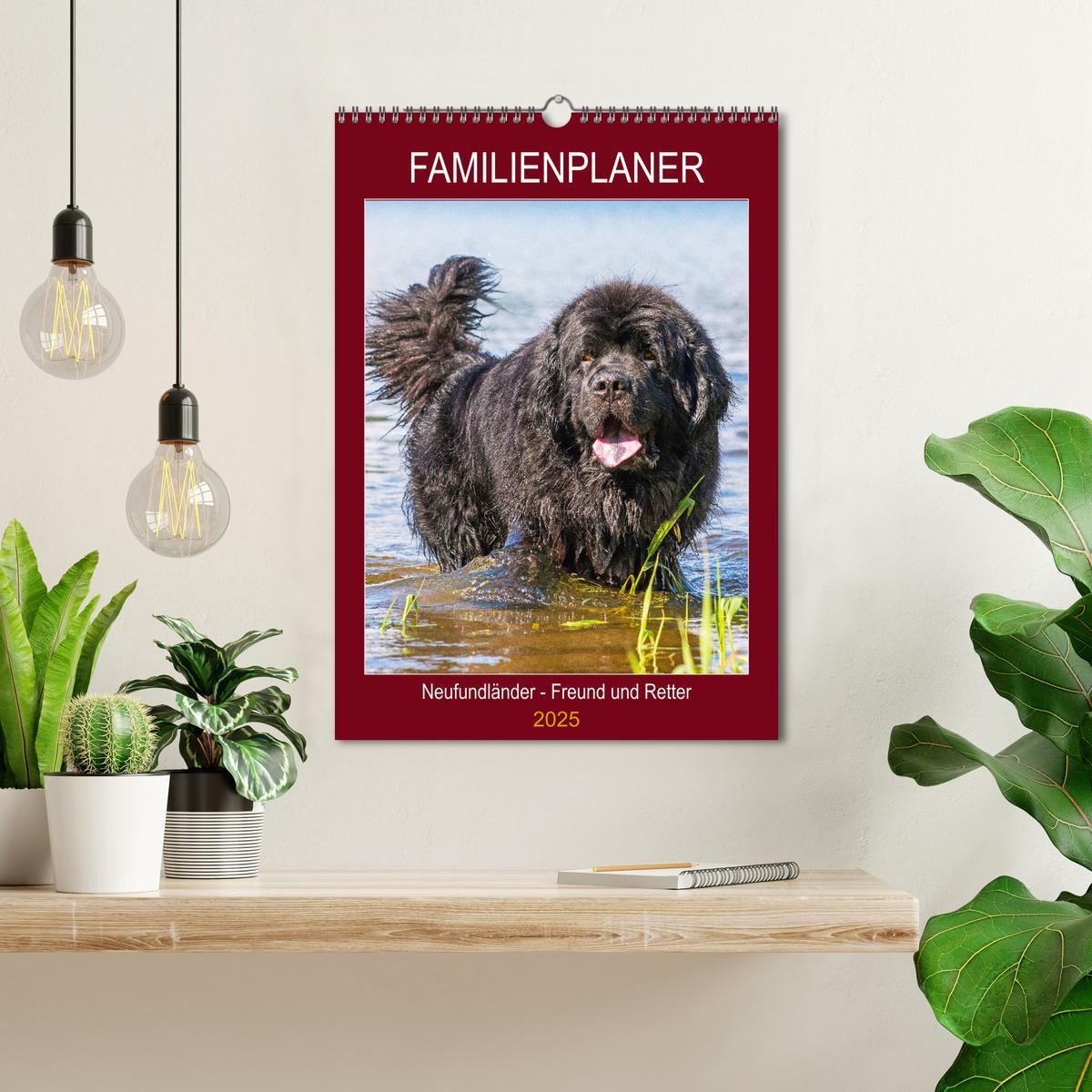 Bild: 9783435958856 | Familienplaner Neufundländer - Freund und Retter (Wandkalender 2025...