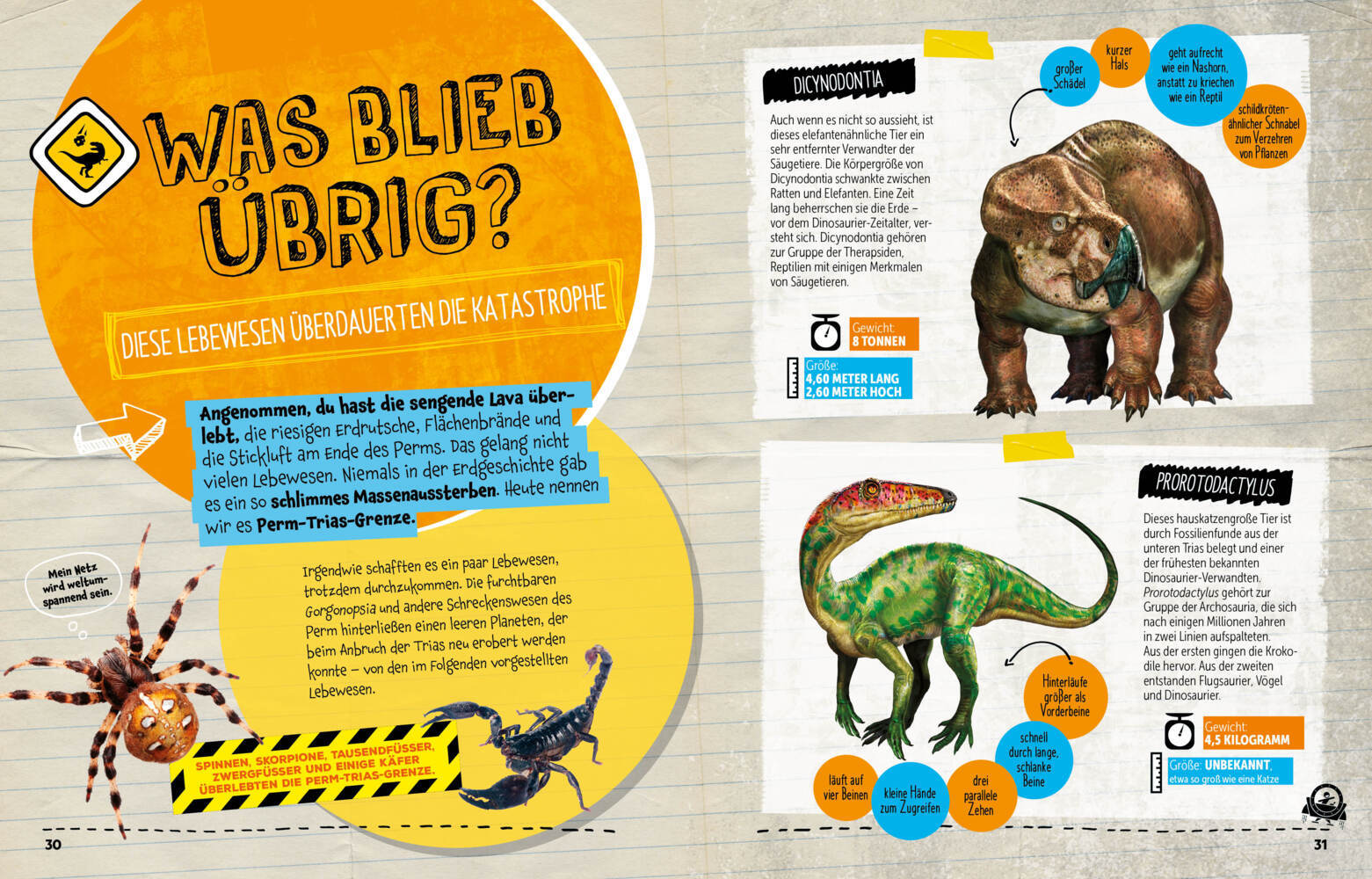 Bild: 9788863126297 | SURVIVAL GUIDE. Wie überlebst du im Zeitalter der DINOSAURIER! | Buch