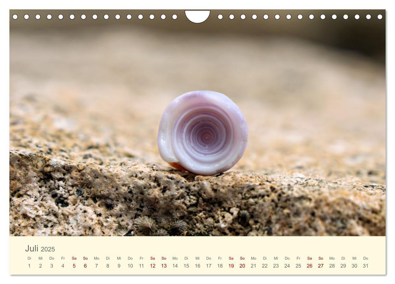 Bild: 9783435011926 | Traumhafte Seychellen (Wandkalender 2025 DIN A4 quer), CALVENDO...