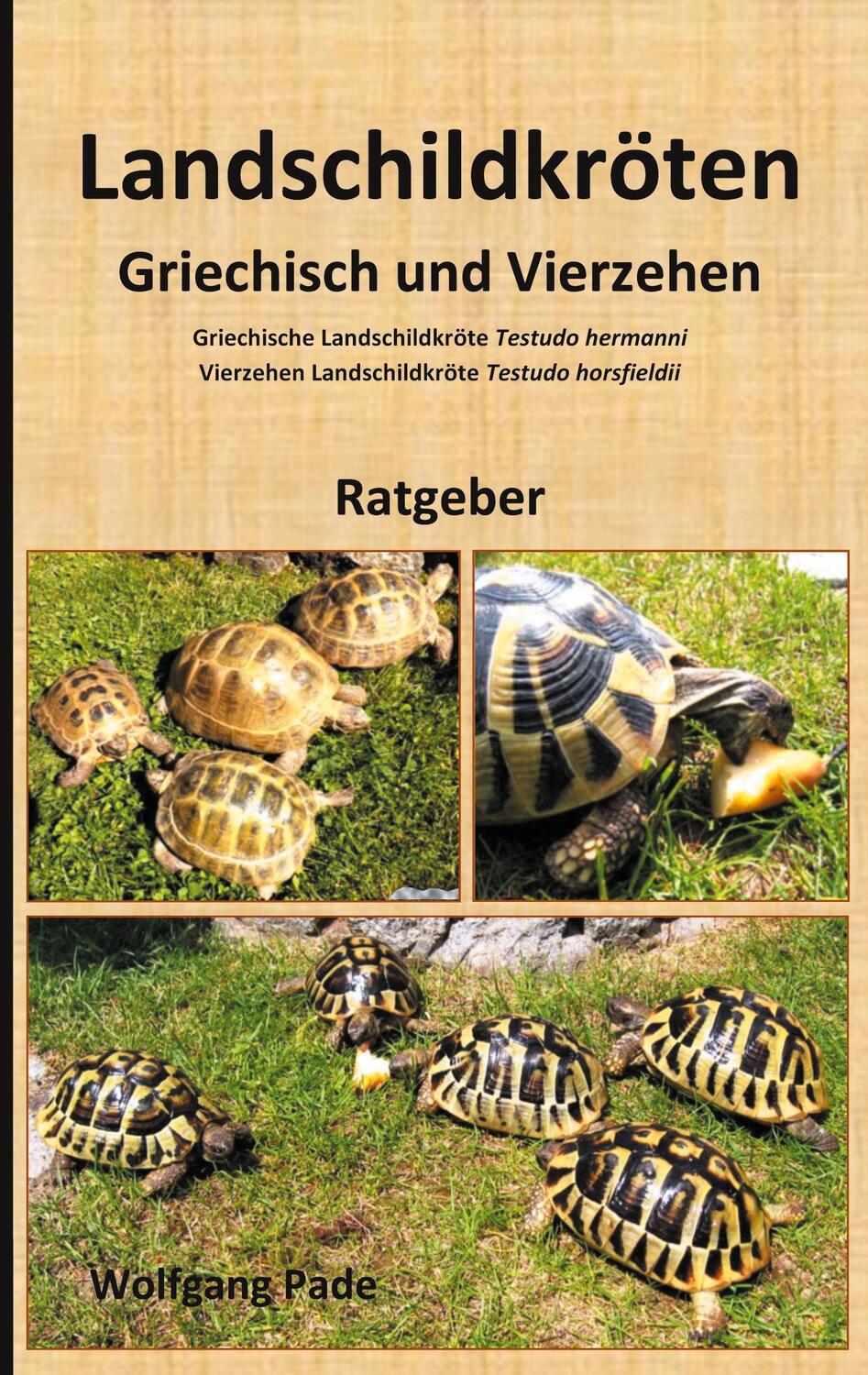 Cover: 9783752620207 | Landschildkröten Griechisch und Vierzehen | Wolfgang Pade | Buch