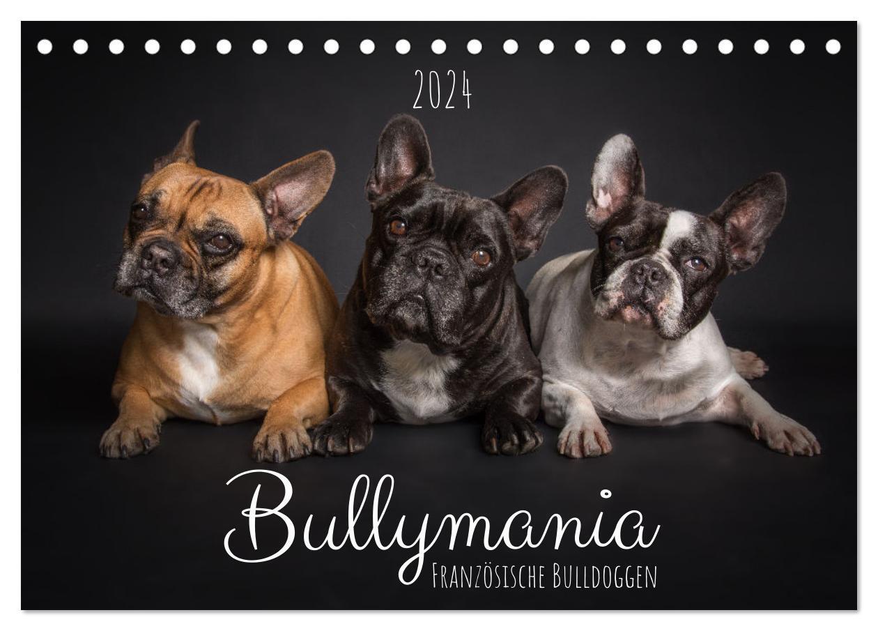 Cover: 9783675621893 | Bullymania - Französische Bulldoggen (Tischkalender 2024 DIN A5...